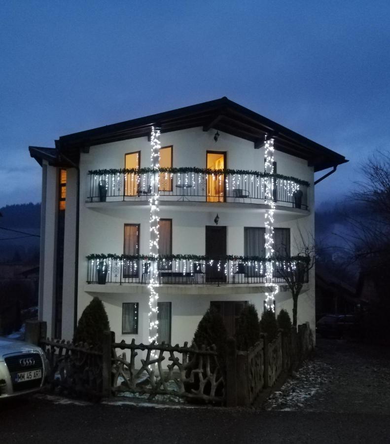 Pensiunea Timis Borsa  Exterior photo